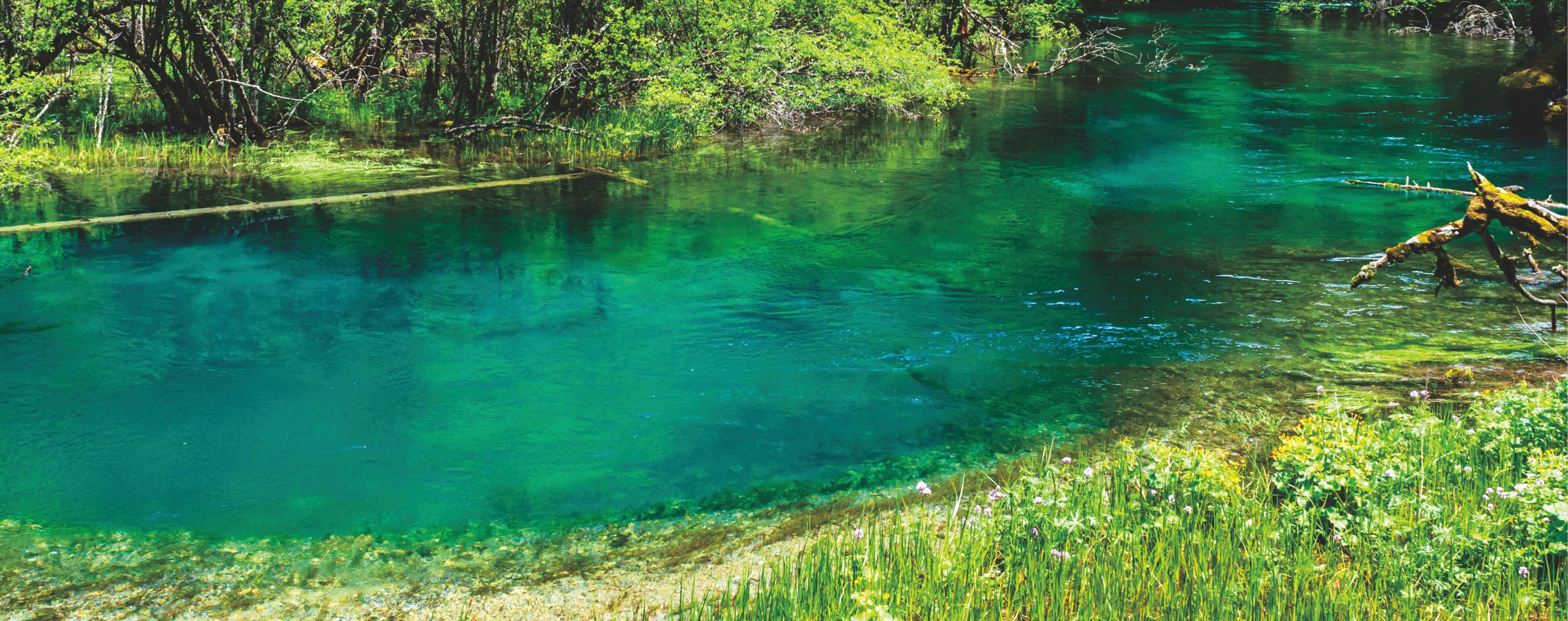 win����Ӯ(�й���½)Ψһ�ٷ���վ-Bwin�ٷ���Ȩ���